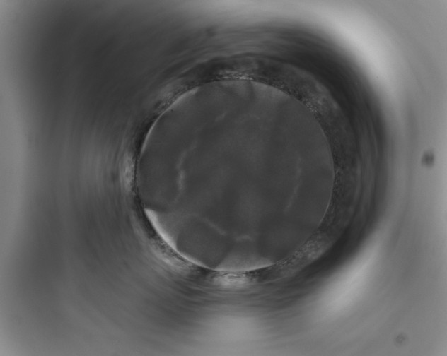 X0000097610767200803211723