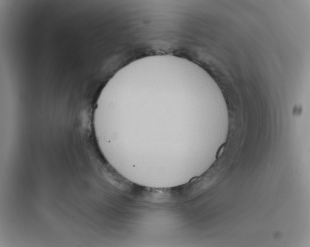 X0000097610768200803211723