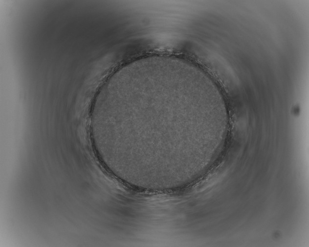 X0000097610769200803211722