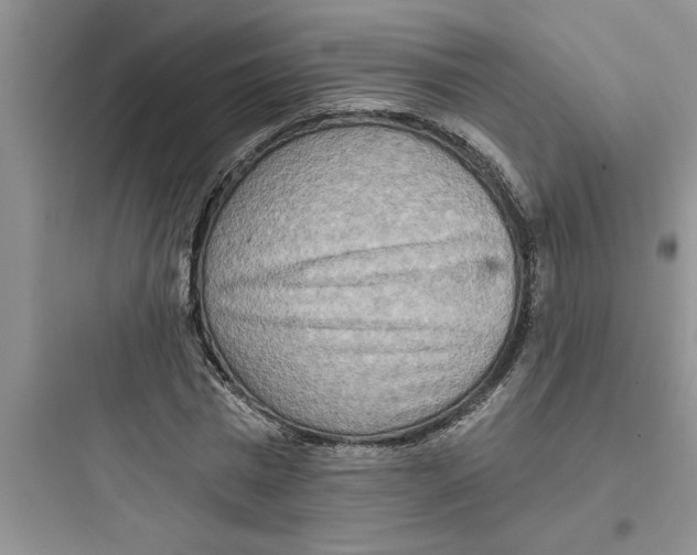 X0000097610777200803211722