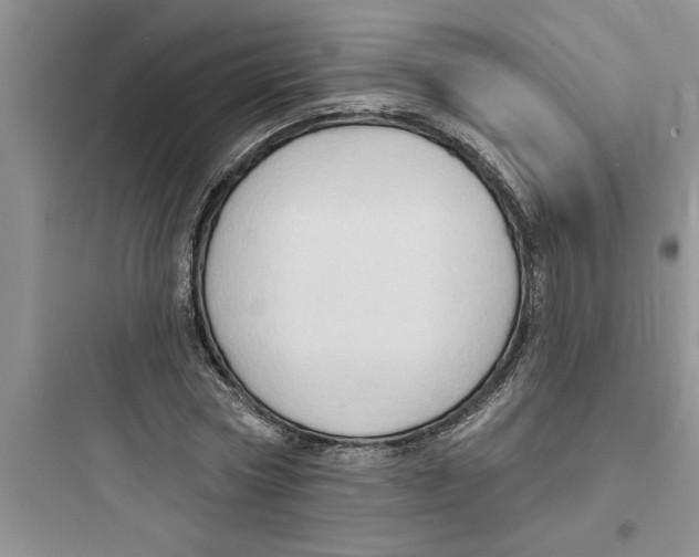 X0000097610778200803211722