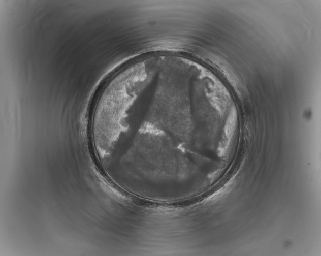 X0000097610779200803211722