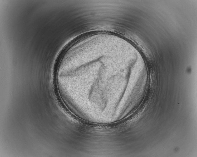 X0000097610780200803211722