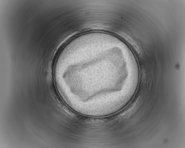 X0000097610782200803211722