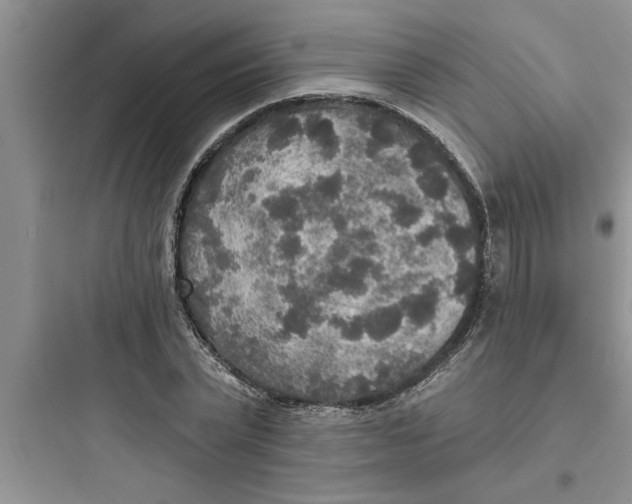 X0000097610783200803211722