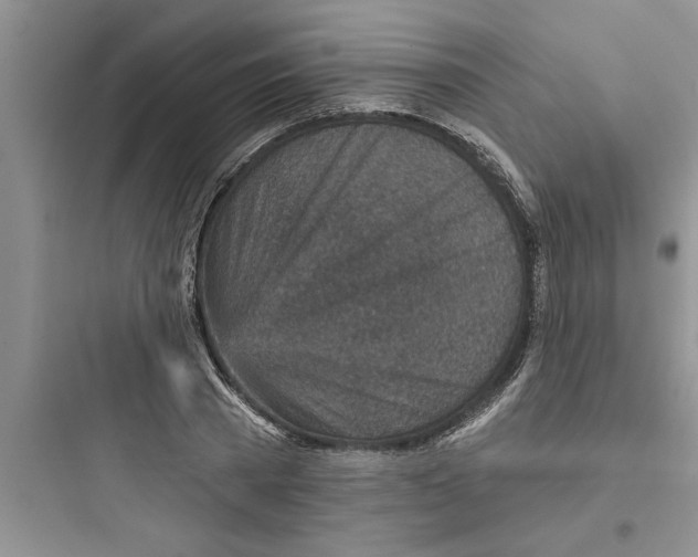 X0000097610785200803211722