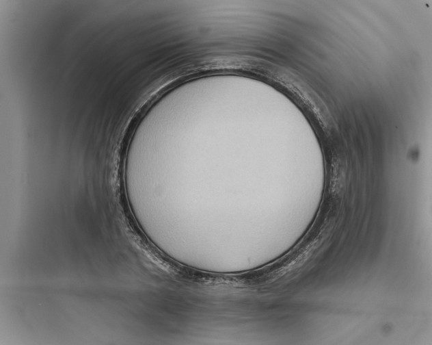 X0000097610786200803211722