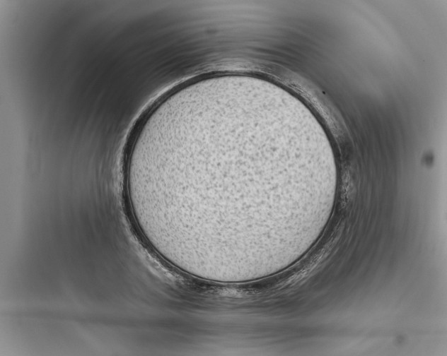 X0000097610787200803211722