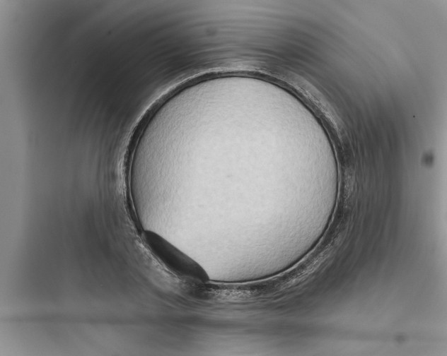 X0000097610789200803211722