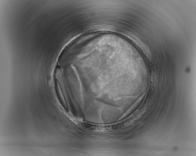 X0000097610790200803211722