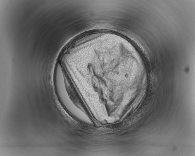 X0000097610791200803211722