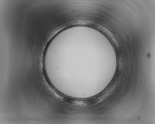 X0000097610794200803211722