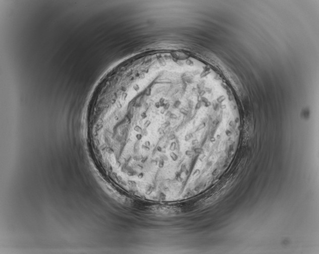 X0000097610795200803211721