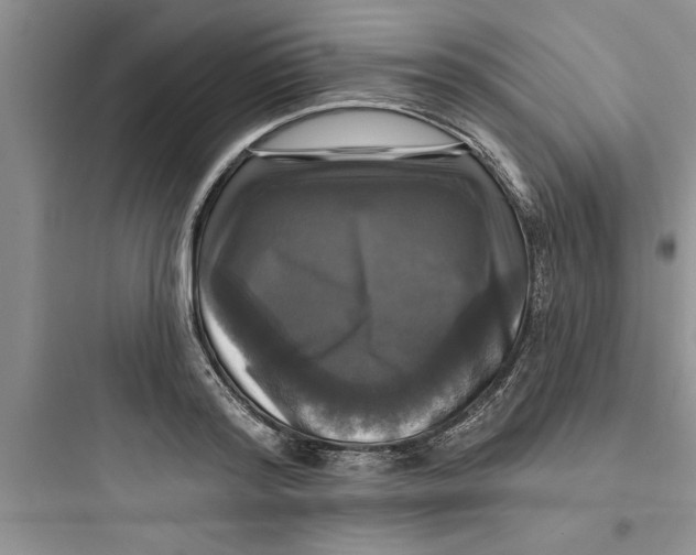 X0000097610796200803211721