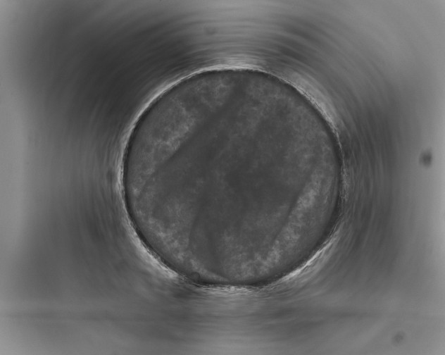 X0000097610797200803211721