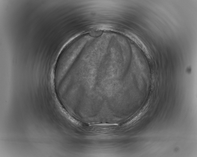 X0000097610798200803211721