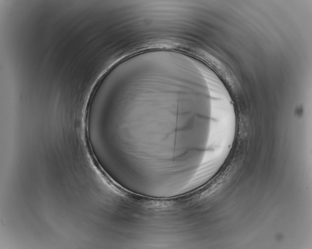 X0000097610802200803211721