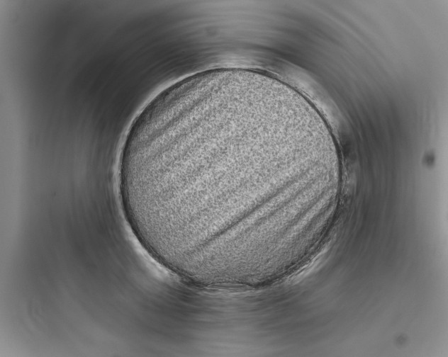 X0000097610803200803211721