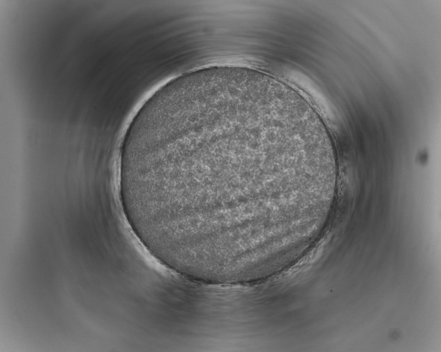 X0000097610804200803211721