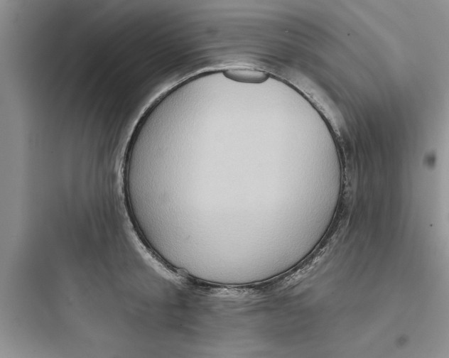 X0000097610805200803211721