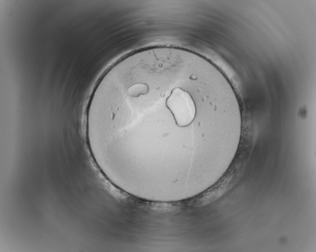 X0000097610807200803211721