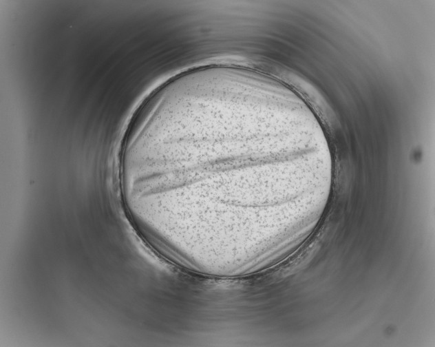 X0000097610808200803211721