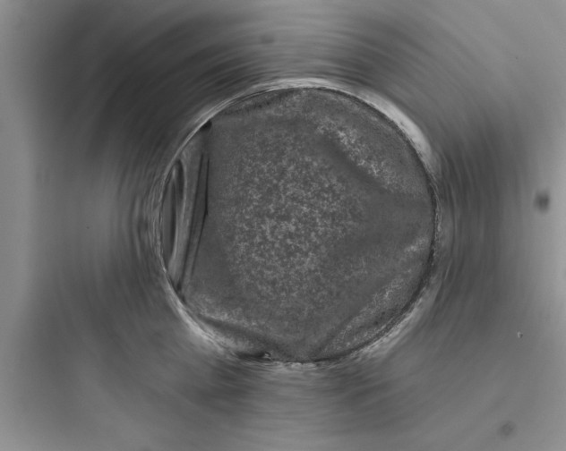 X0000097610809200803211721