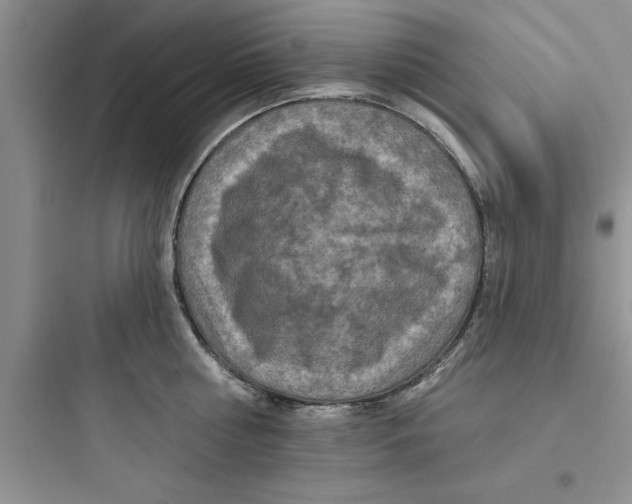 X0000097610810200803211721