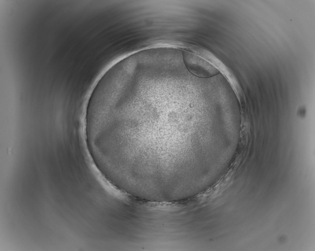 X0000097610811200803211721