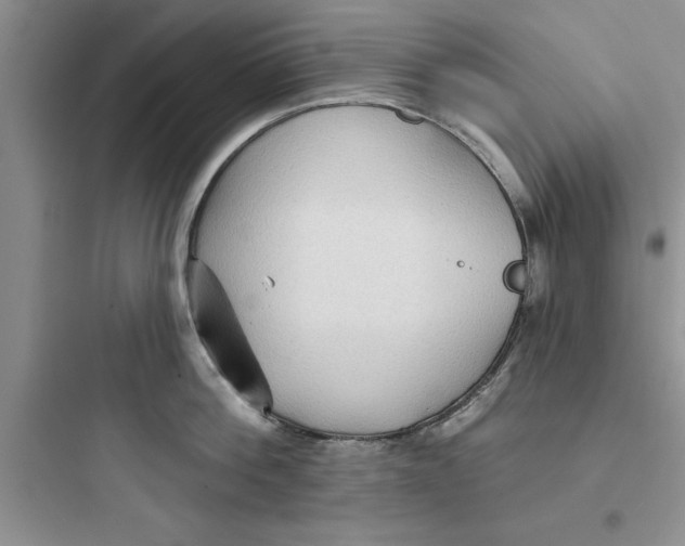 X0000097610812200803211721