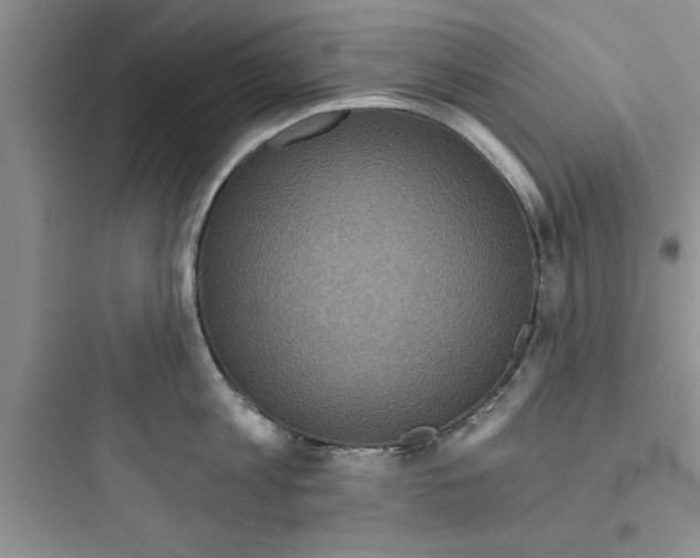 X0000097610813200803211721