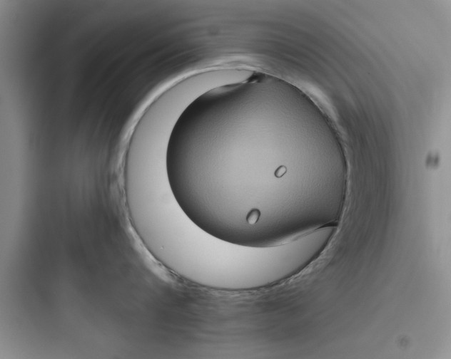 X0000097610816200803211721