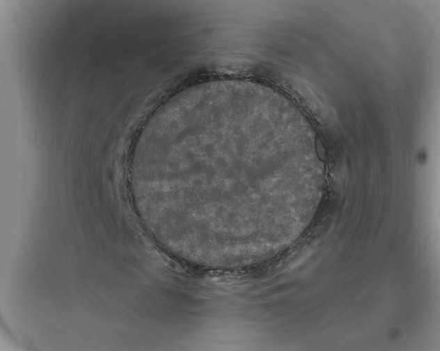 X0000097610817200803211721