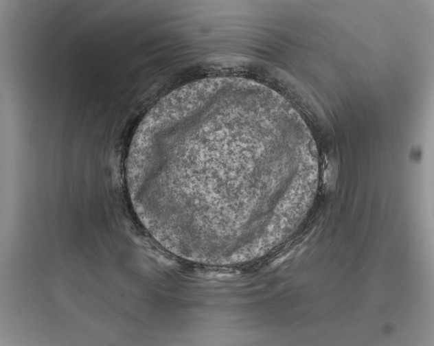 X0000097610819200803211721