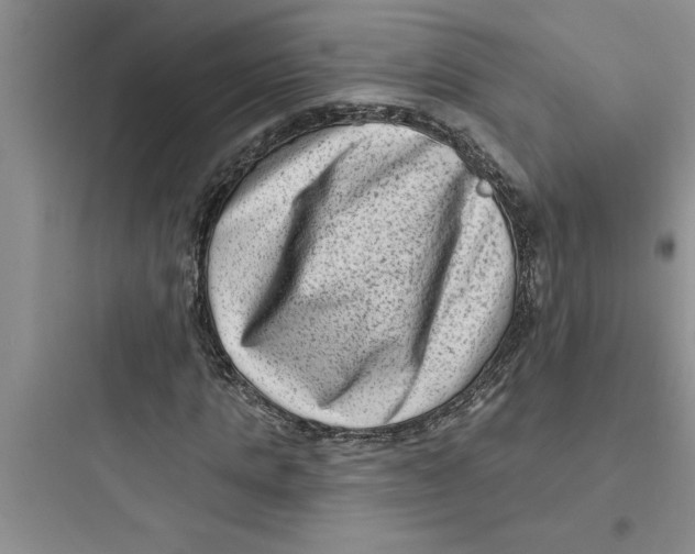 X0000097610821200803211721