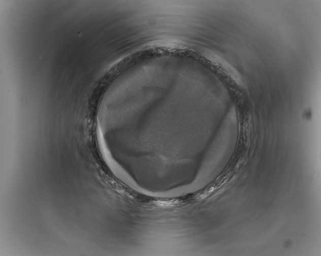 X0000097610822200803211721