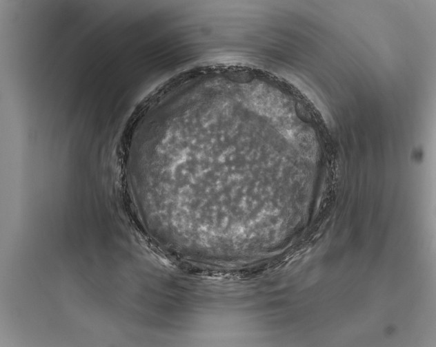 X0000097610823200803211721