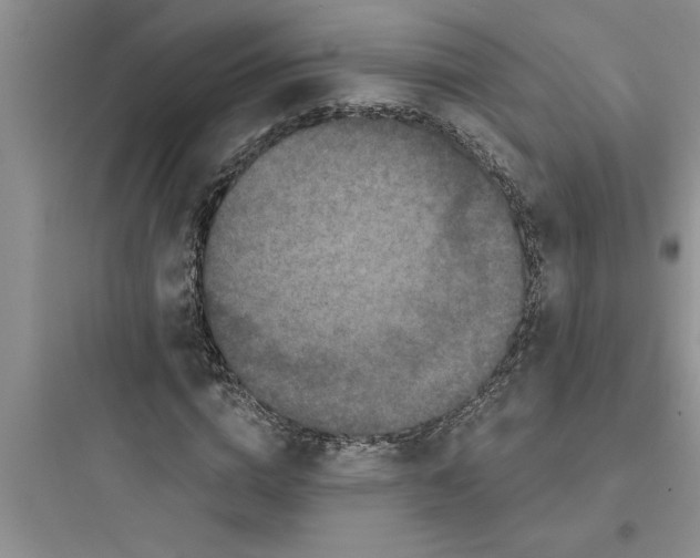 X0000097610824200803211721