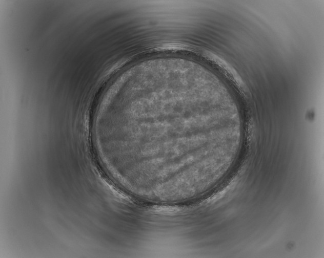 X0000097610825200803211721