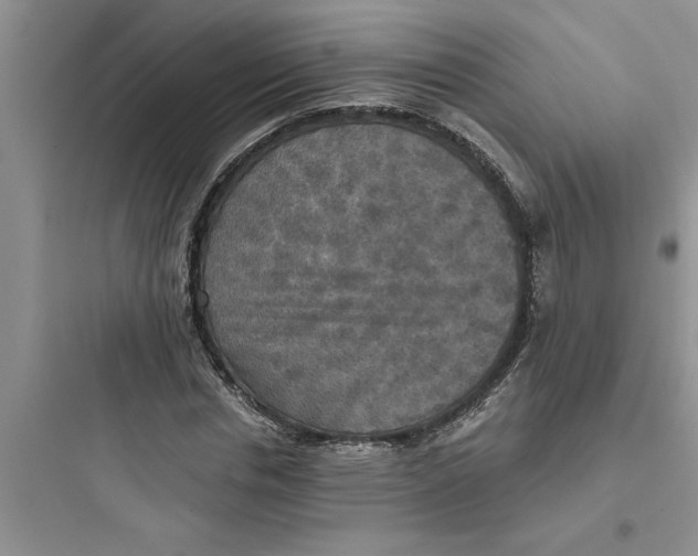 X0000097610826200803211721