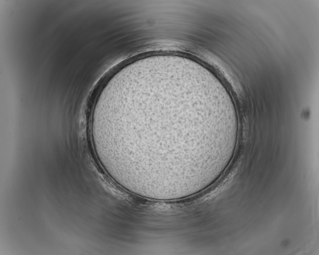 X0000097610827200803211721