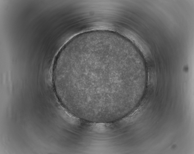 X0000097610828200803211721