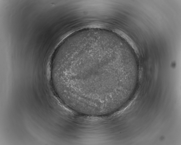 X0000097610829200803211721