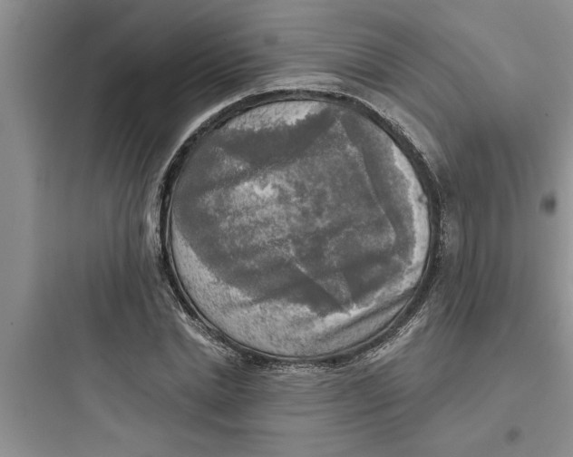 X0000097610830200803211721