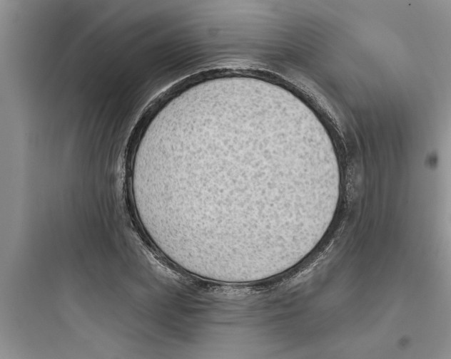 X0000097610831200803211721