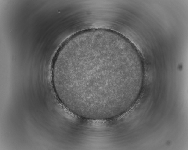 X0000097610832200803211721