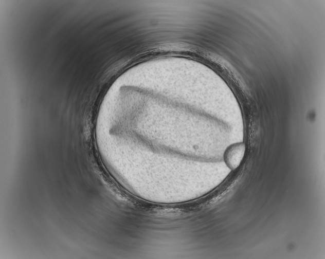 X0000097610833200803211721