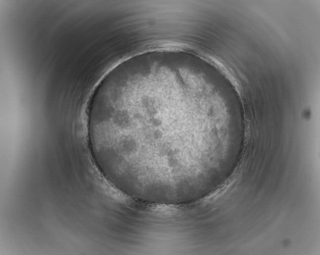 X0000097610835200803211721