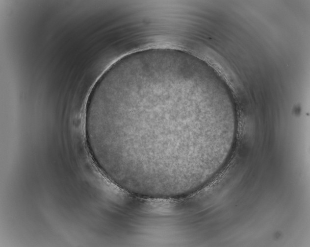 X0000097610836200803211721