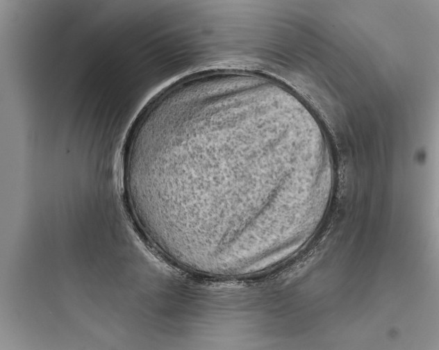 X0000097610838200803211721